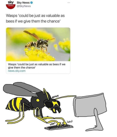 IMG_7055.png