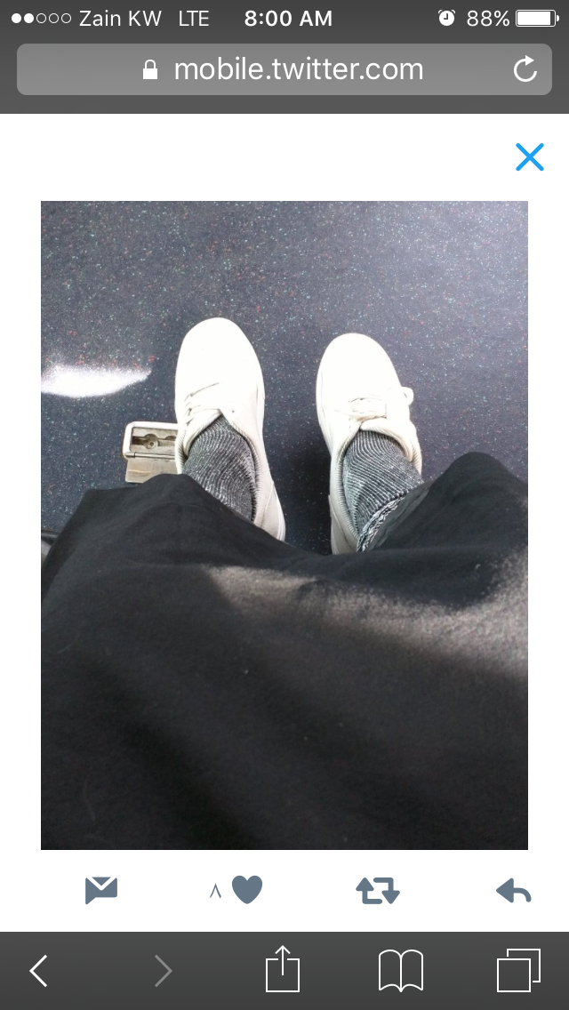 IMG_7297.PNG