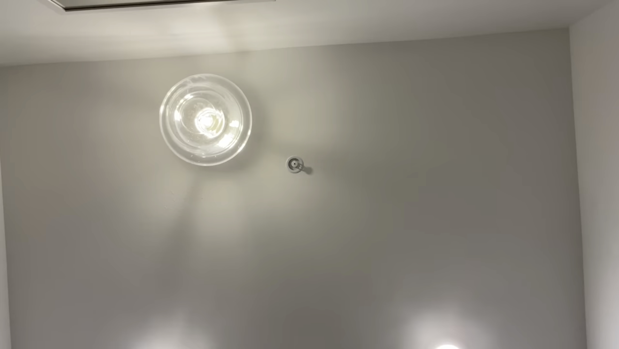 IMG_7345.jpeg