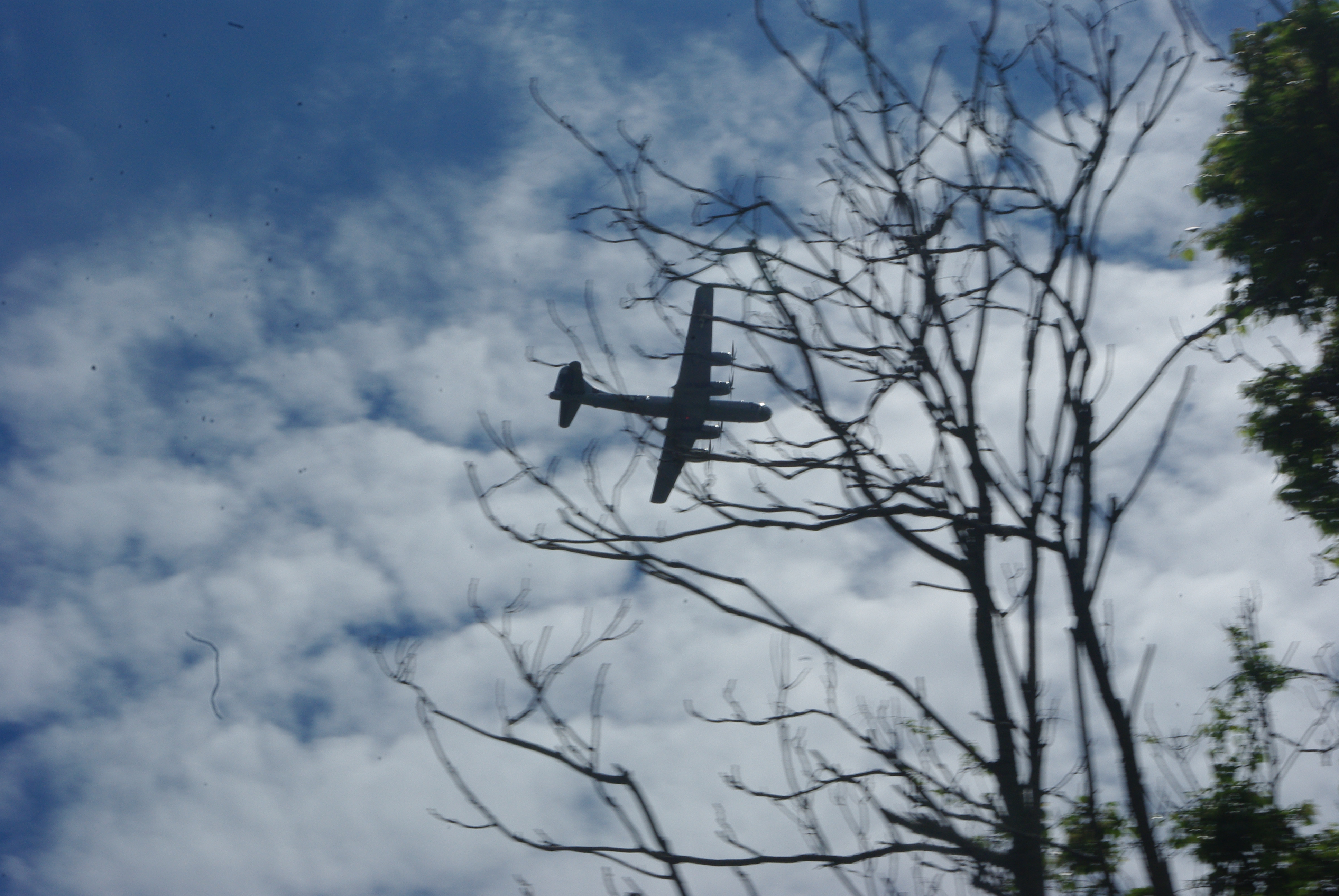IMGP8564.JPG