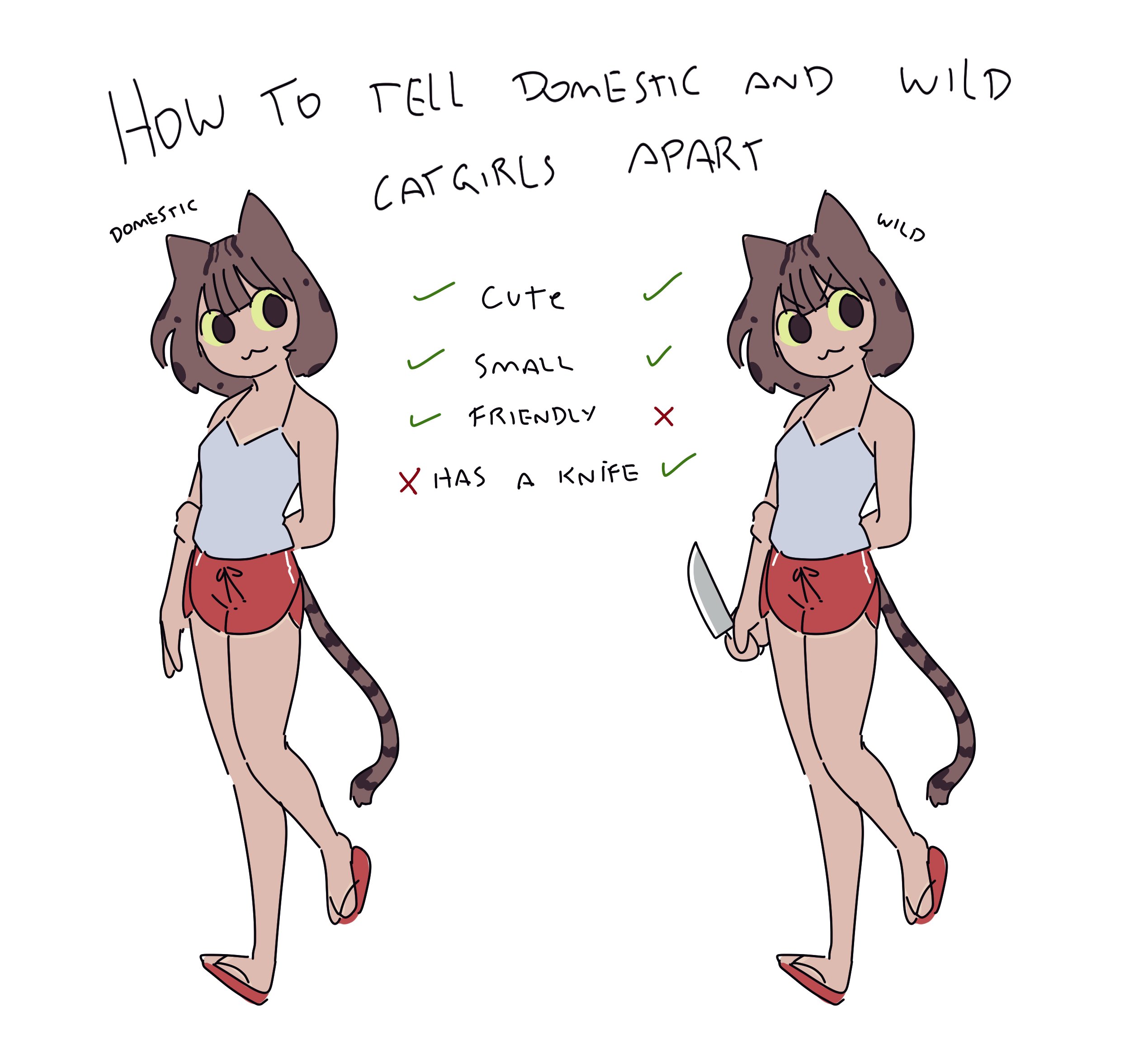 important.jpg