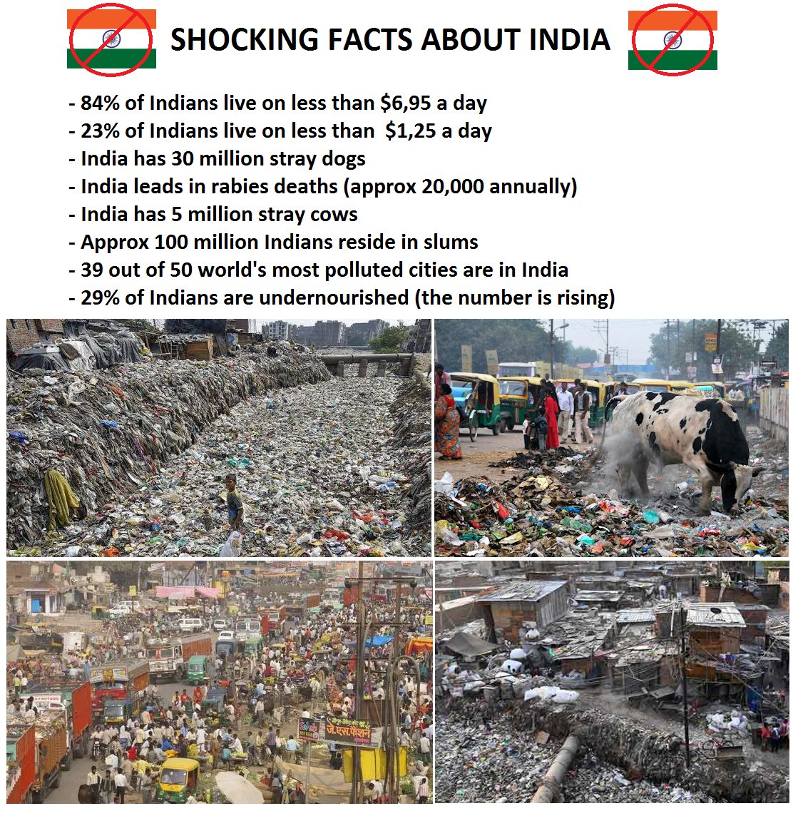 india.jpg