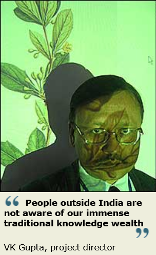 india3.png