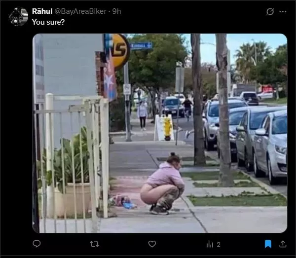 indian shitting.webp