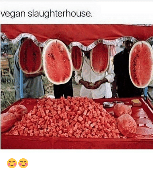 Instagram-807c15.png