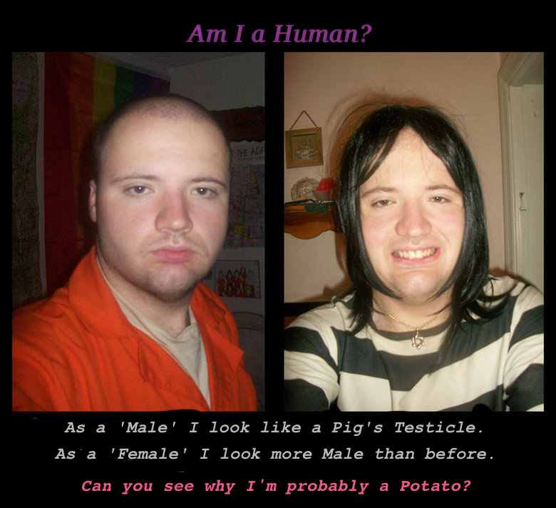 interspud.png