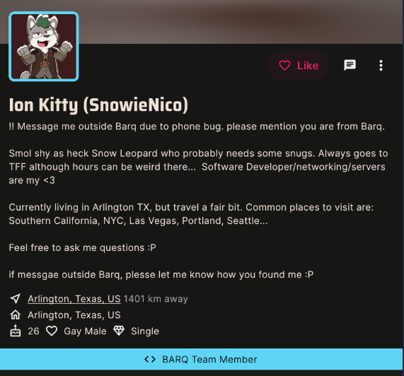 ionkitty1.jpg