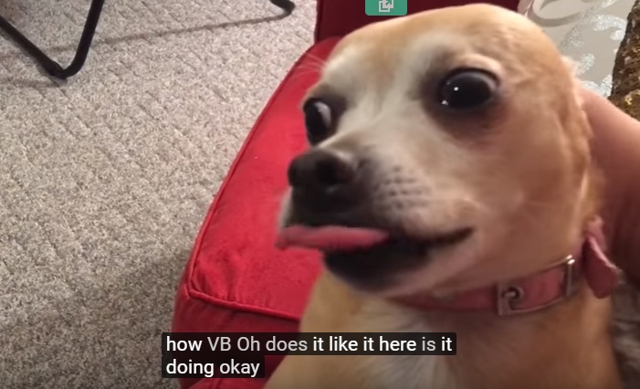 it.jpg