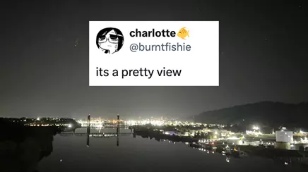 its-a-pretty-view.webp