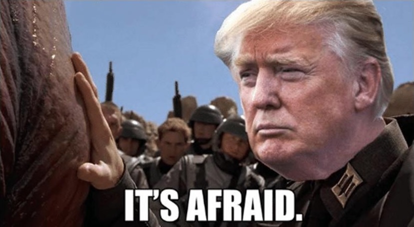 itsafraid.jpg