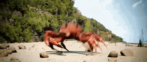 iu.gif