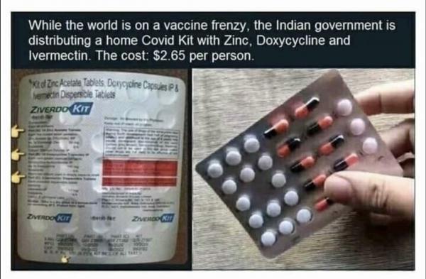 ivm-india-3.jpeg