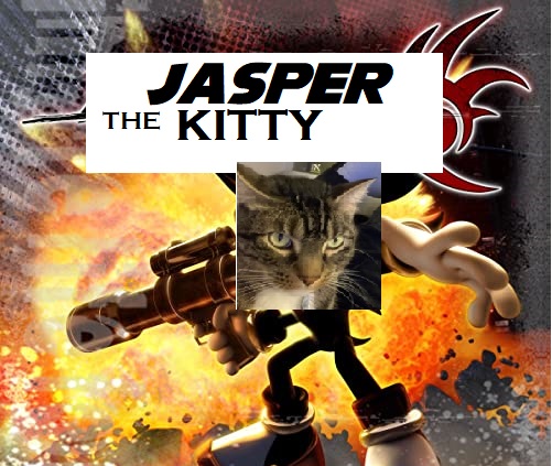 JaspertheKitty.jpg