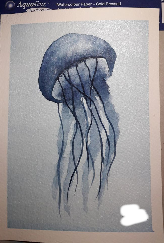 Jellyfish.jpg
