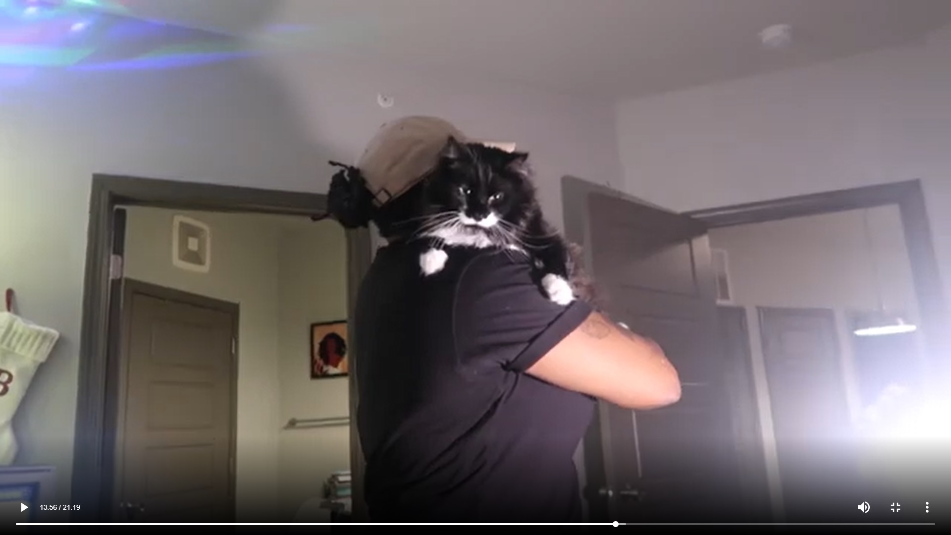 JF.jpg