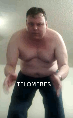JIGGLEMERES.gif