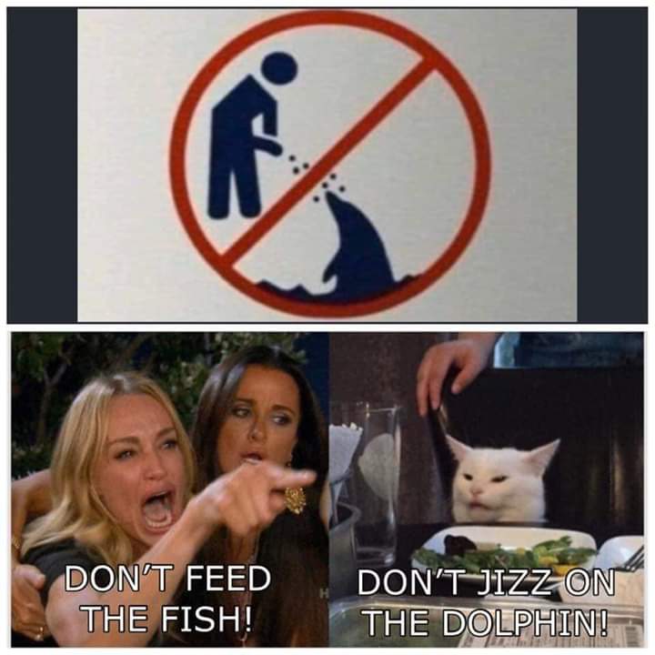 jizzdolphin.jpg