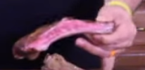 jthurgf.png