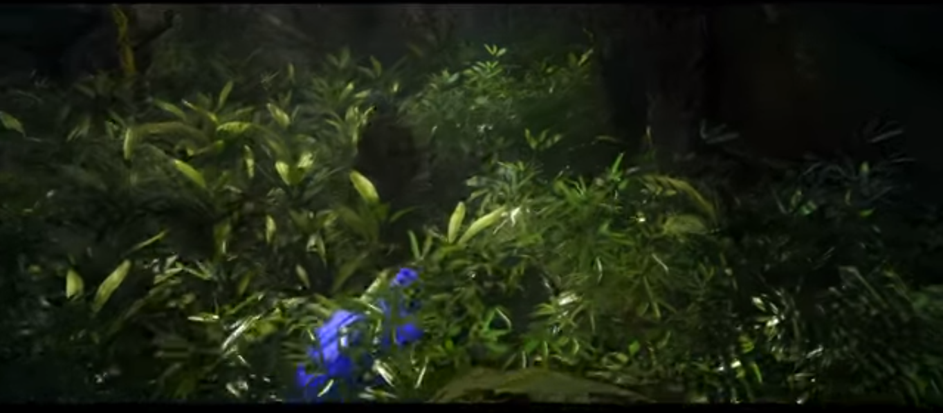 jungle.png