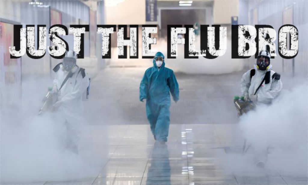 Just The Flu Bro.jpg