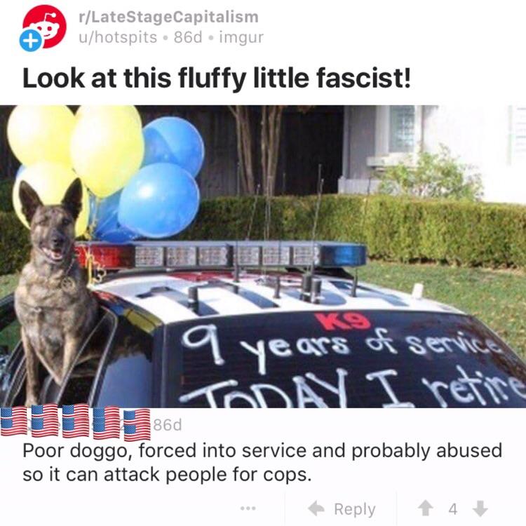 k9sarefacist.jpg