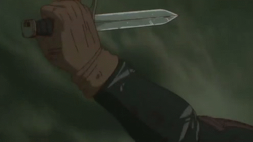 kaiman.gif