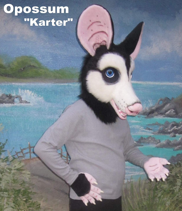 Karter.png