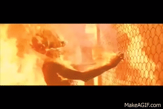 KAUedj.gif
