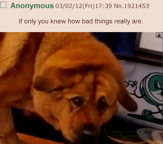 kaya.png