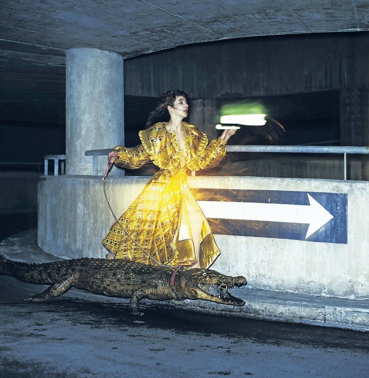 kbcroc.jpg