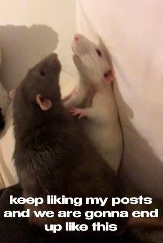 keep-doing-what-you're-doing.jpg