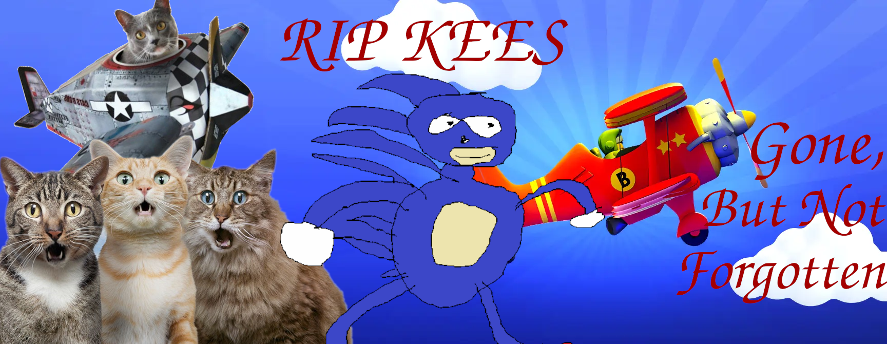 KeesAppreciation.png