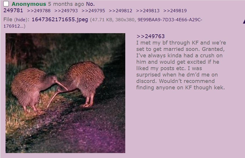 kf1.jpg