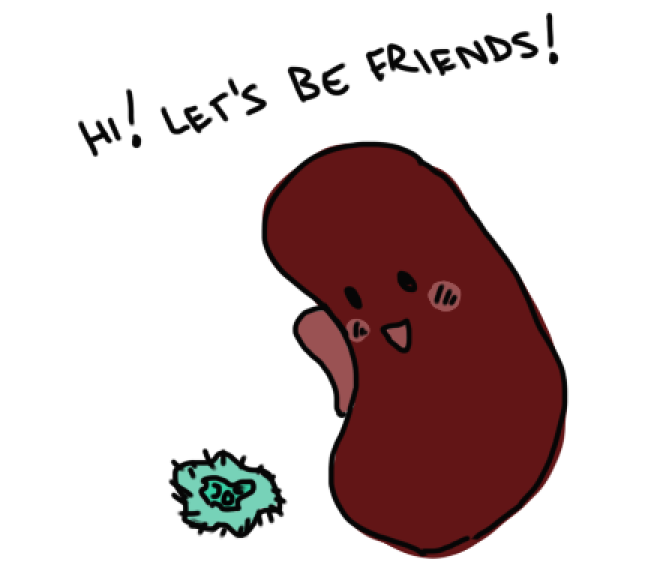 kidneyfriend.PNG