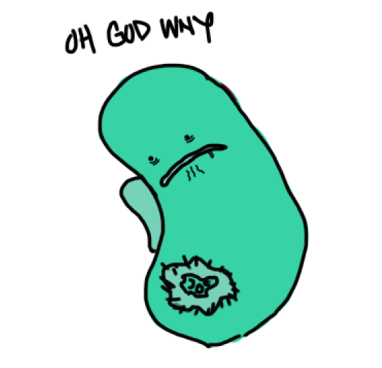 kidneyfriend2.PNG