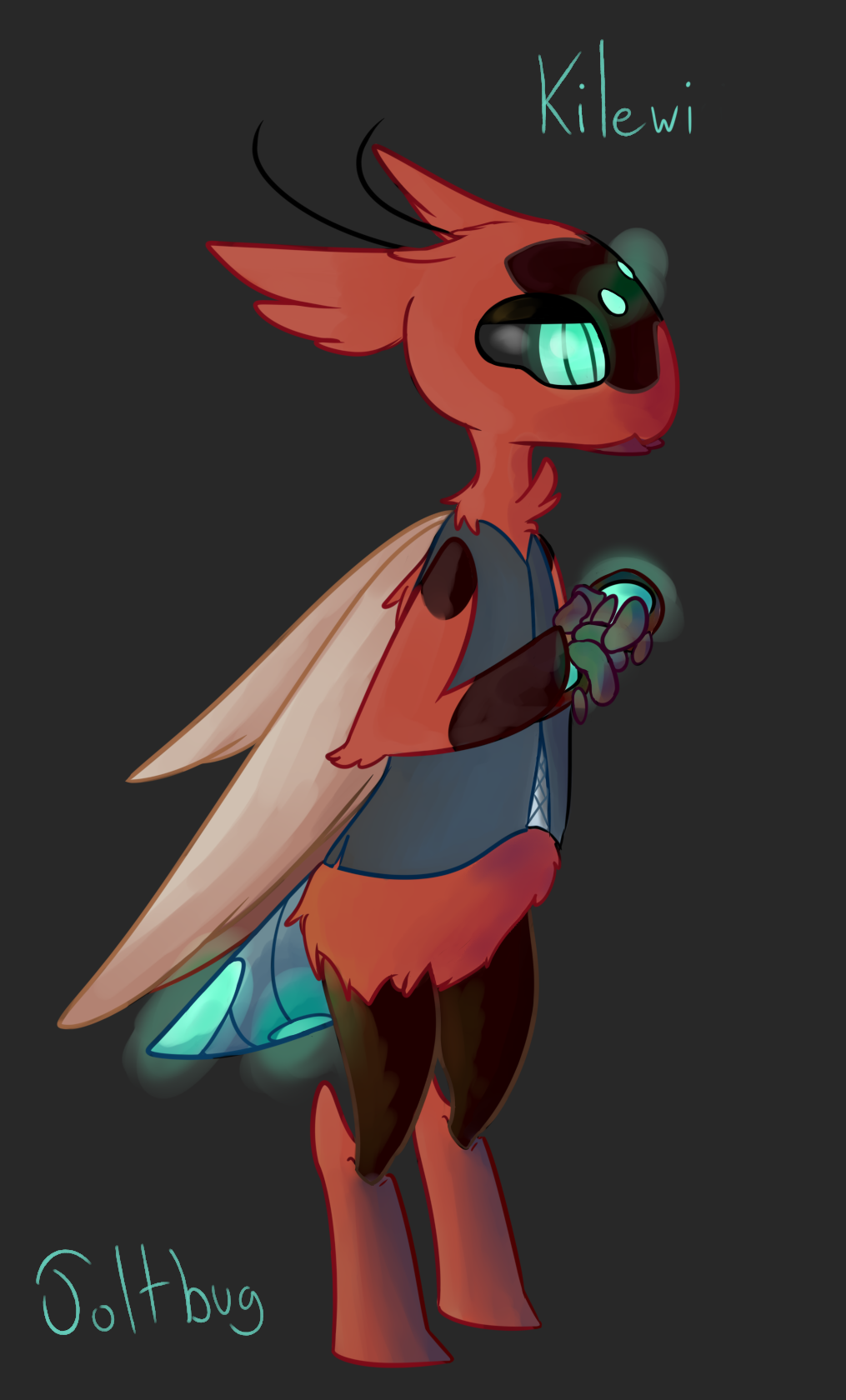 Kilewi_1.png