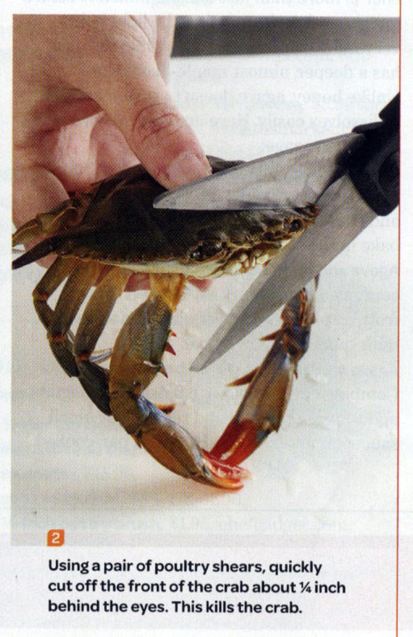 killcrab.jpg