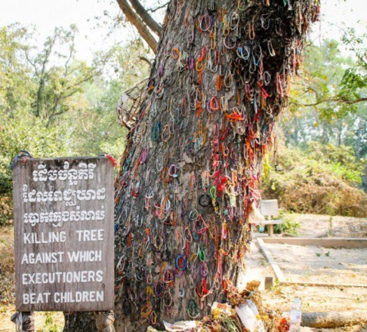killing fields.jpg
