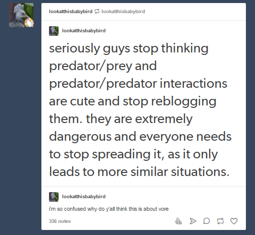 kinkshamebirbs01.png