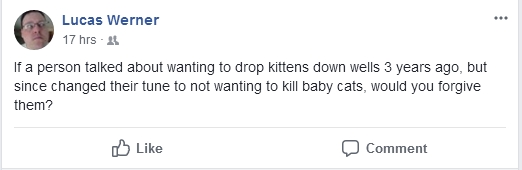 Kittens.jpg
