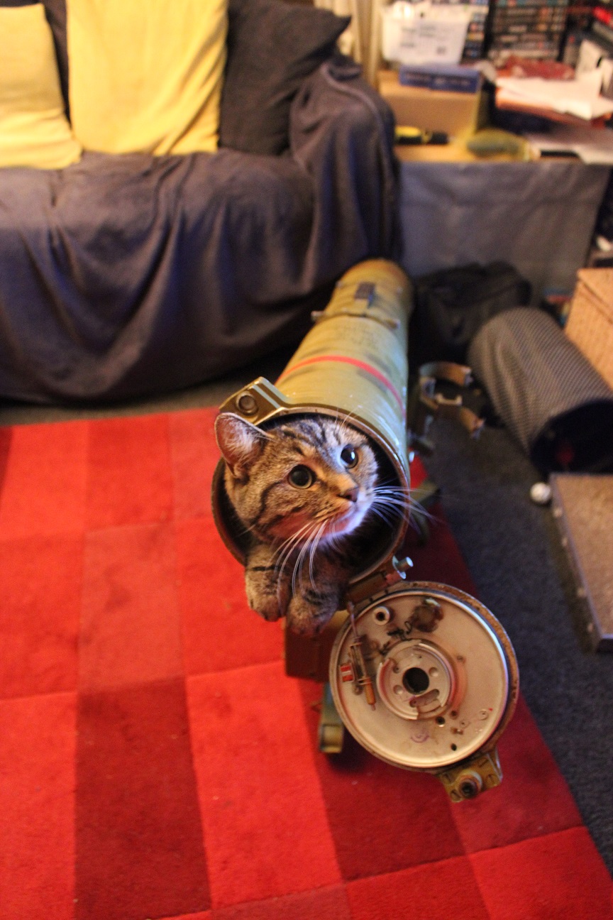 kitty.JPG
