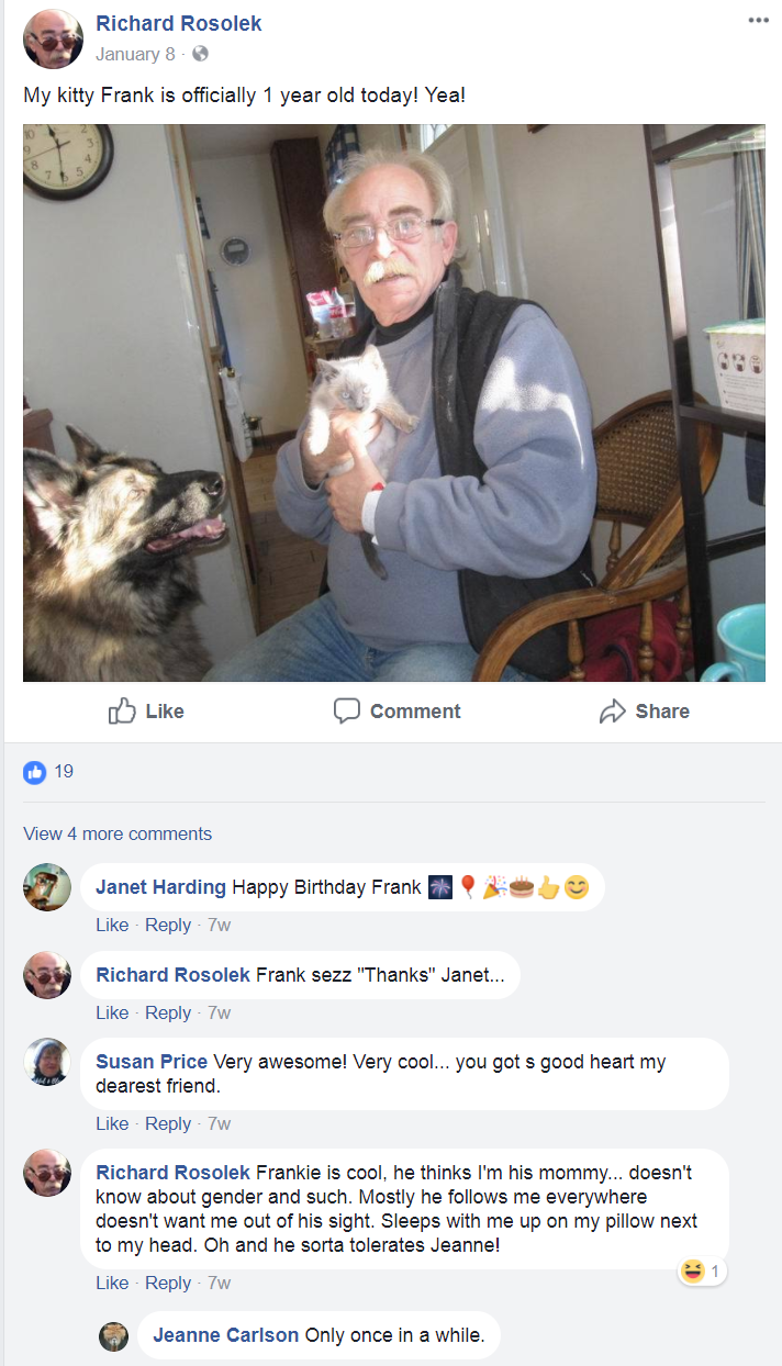 kitty.png