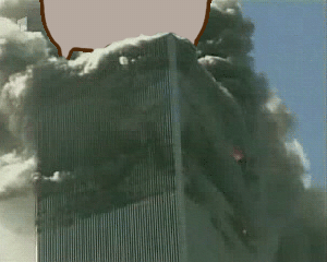 kitty stomp 911.gif