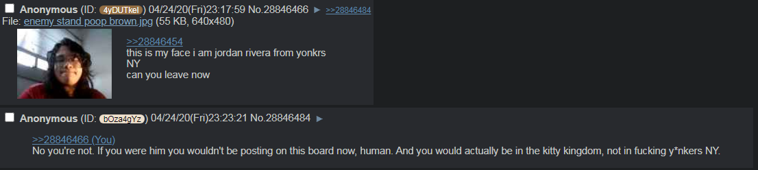 kittyland.png