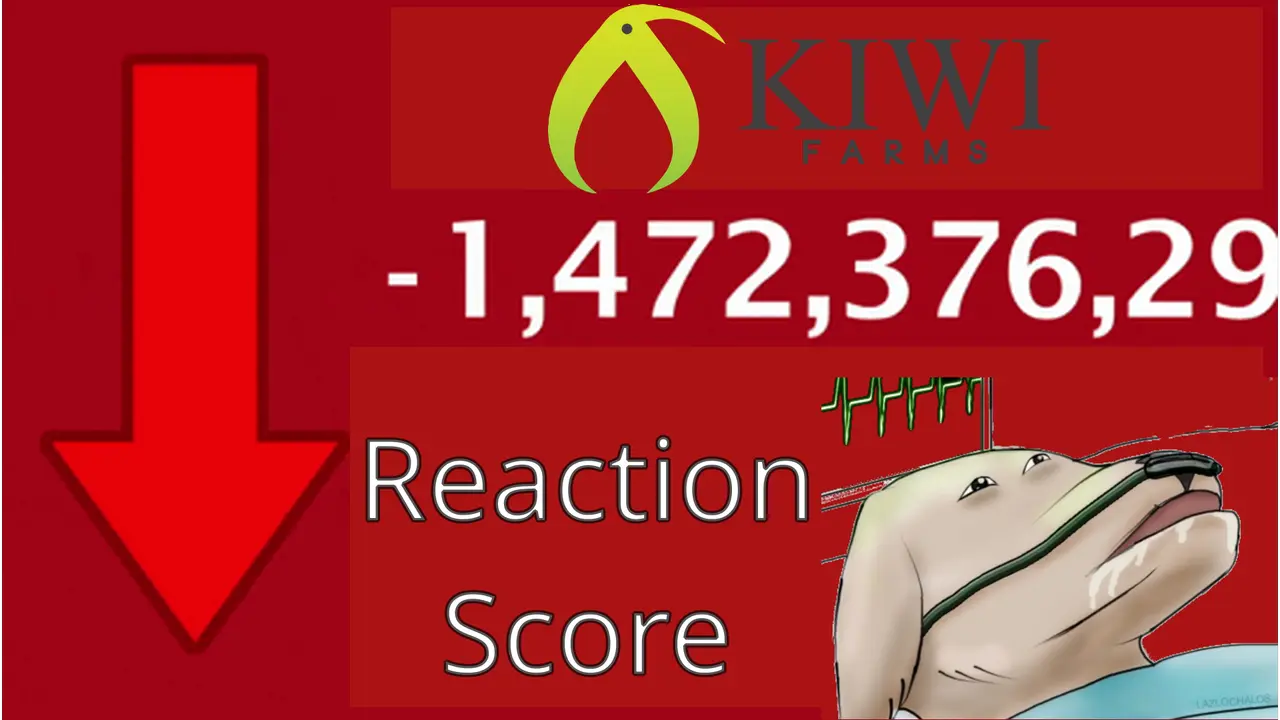kiwi credit down.webp