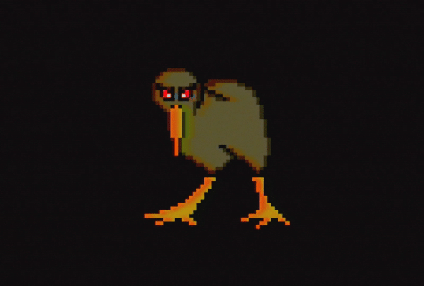 kiwi.gif