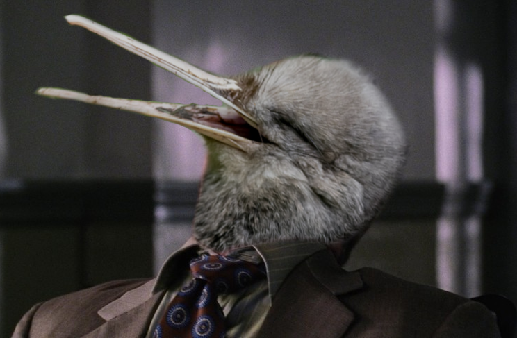 kiwi james.png