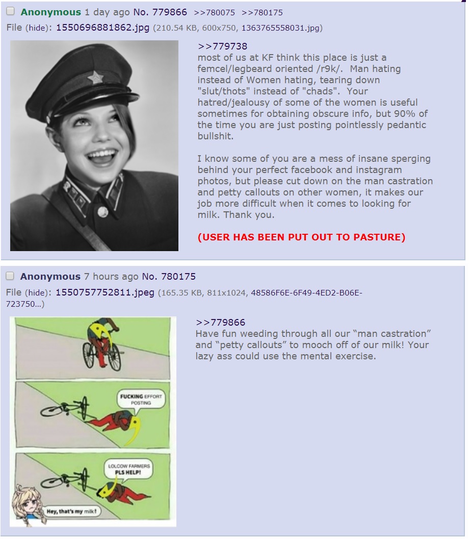 kiwi.jpg