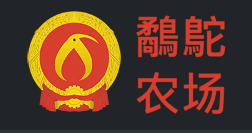 kiwi.png