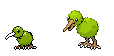 kiwi.png